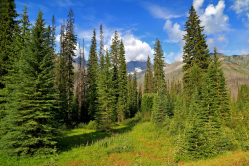 Kootenay Nationalpark (2)