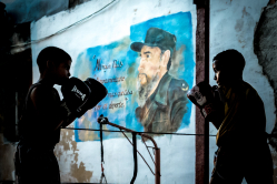 Box training with Fidel supervision