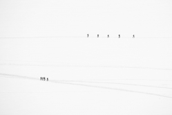 Hiking on the glacier