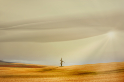 Moravská krajina po dešti