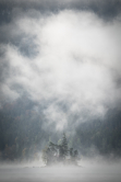 Nebel am Eibsee