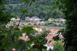 Alte Brücke Heidelberg