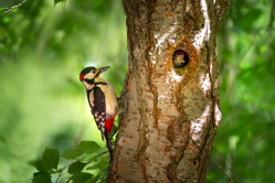 Wo bleibt das Futter