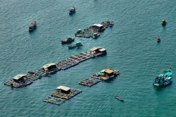 Fischerei im Golf von Thailand