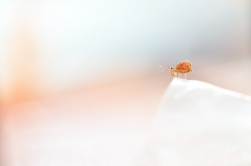 at the top of the mountain