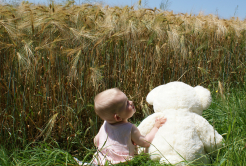 Ein Platz im Kornfeld
