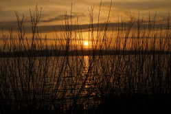 Sonnenuntergang im Winter