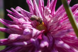 Nature full of surprises