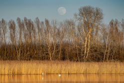 Teli hold naplementében