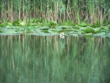 Natura si culorile ei