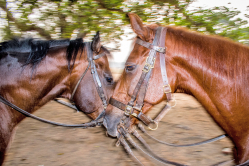 On A Valentine's Day