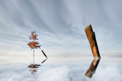 V ledovém sevření