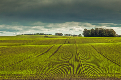 Lines & waves - Linien und Wellen
