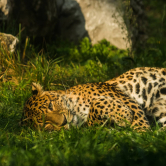 ZOO Kraków odpoczynek