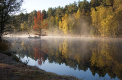 Etang à Vouzon (Sologne)