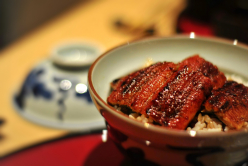 unadon (grilled eel over rice)