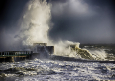 Carmen passionnément