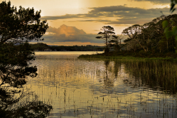 hiking in Killarney along Muckross Lake (50)