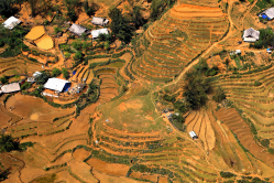 Über den Reisterrassen