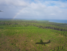 Ile des pins Nouvelle calédonie