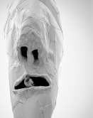 Die Taube und die Kunst