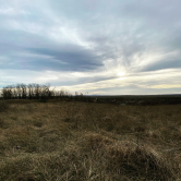 Füves terület és a szép égbolt