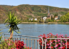 Boppard