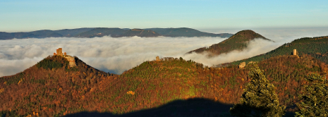 Burgendreifaltigkeit - Trifels, Anbos und Münz