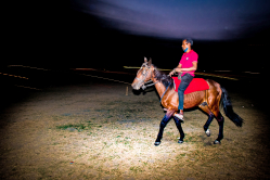 Miles To Go Before I Sleep.