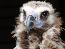 Das Leben erwartet mich