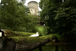 Hrad Bítov- zahrada