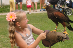 ZOO Jihlava - Eliška a Káně Harrisovo.