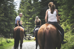 In sella tra i boschi
