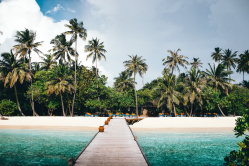 Happiness is the road