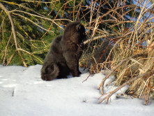 Mein erster Tag im Schnee