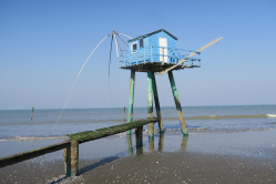 Je n'y vois que du BLEU