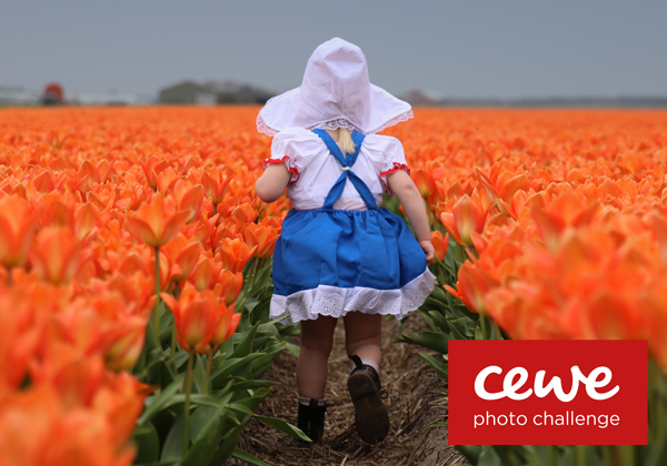 Onze jaarlijkse fotowedstrijd is weer van start,