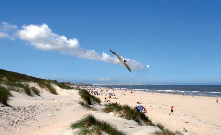 Baltrum. Kleine Insel. Große Liebe.