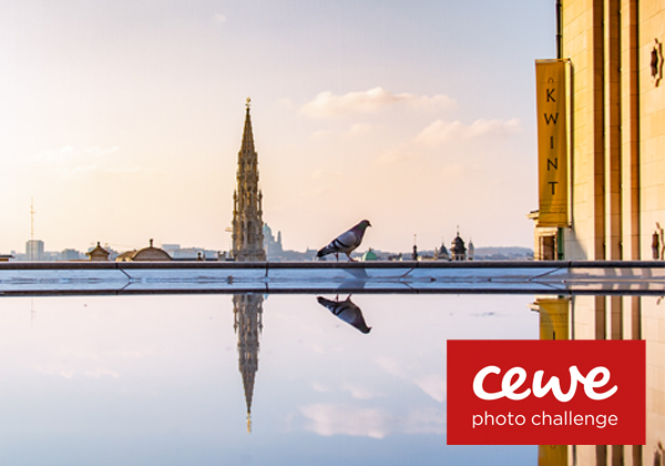 Onze jaarlijkse fotowedstrijd is weer van start,