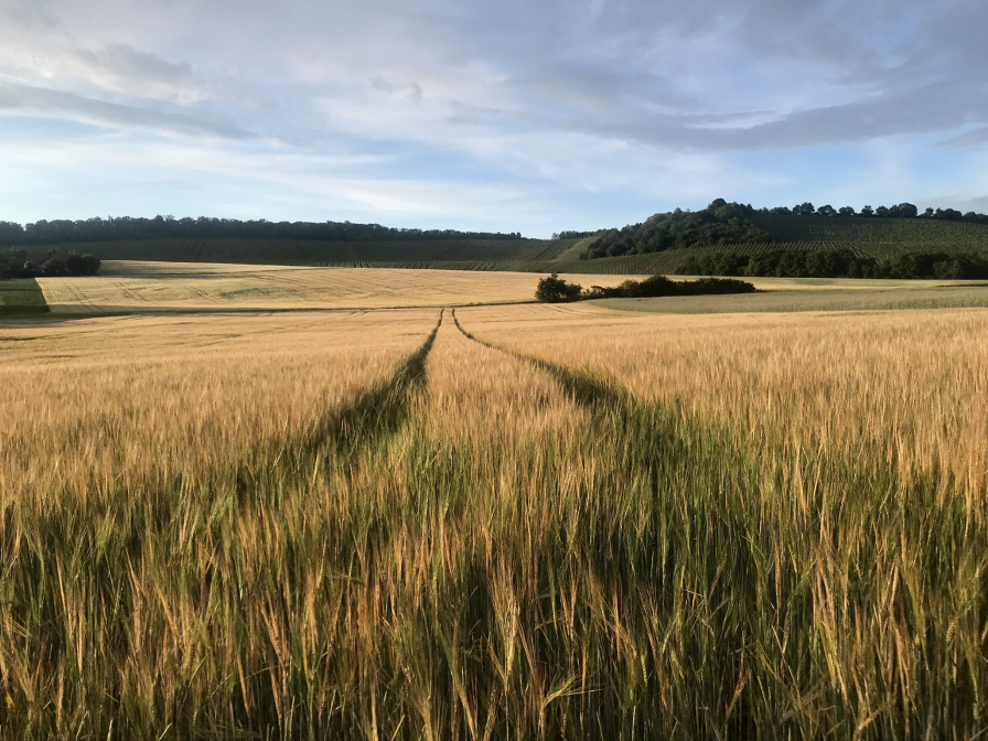 Fränkisches Frühjahr