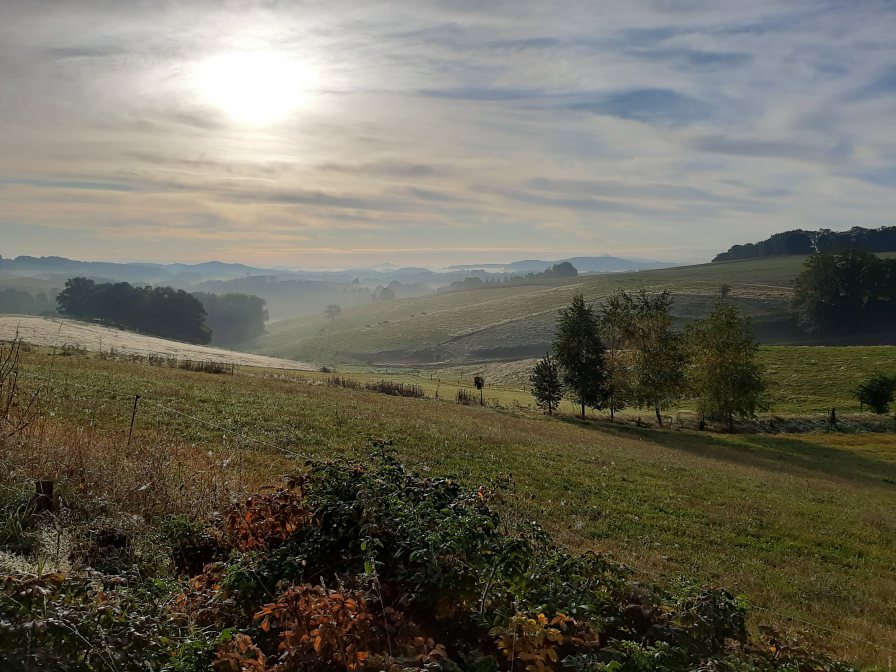 ein "gemalter" Morgen in der sächsischen Schweiz