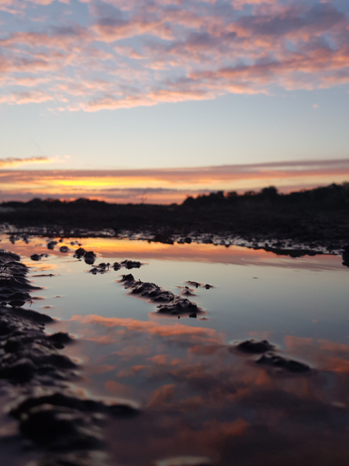 Beauty of the world reflected in a puddle