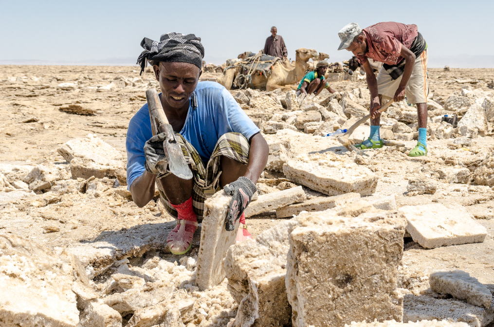 Les travailleurs du sel