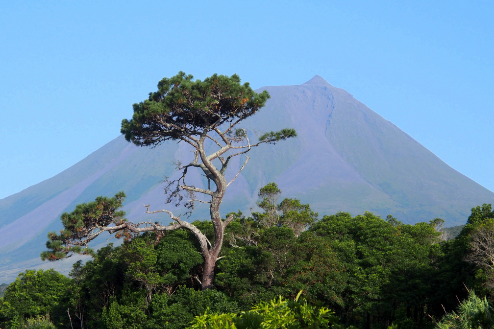 Pico - kleine Insel, großer Vulkan !