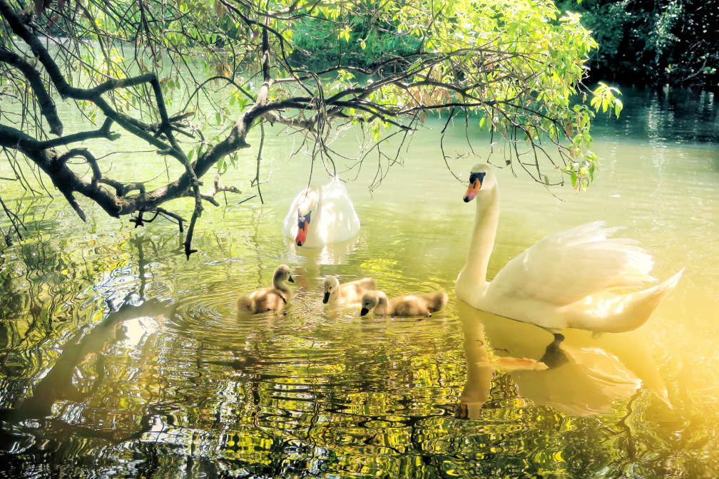 The day after lockdown eased