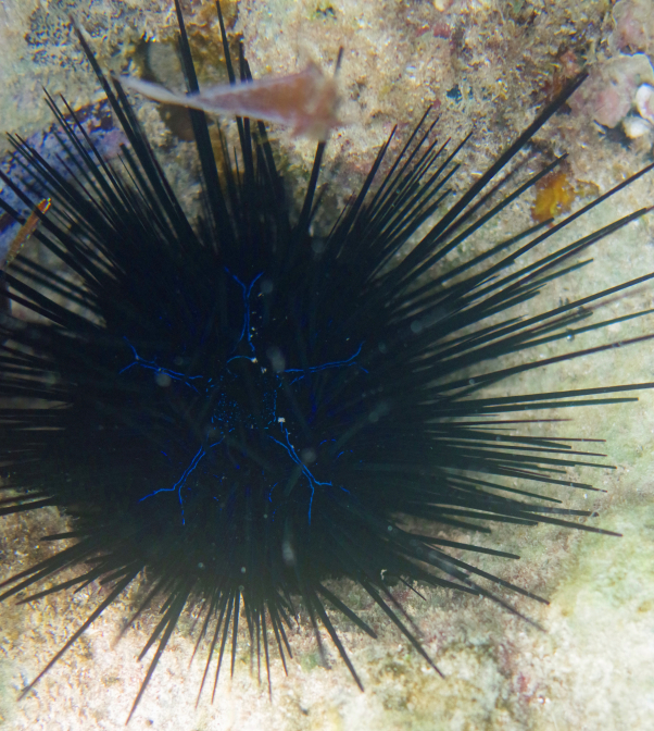 CEWE Photo Award 2021 CEWE Fotowettbewerbe