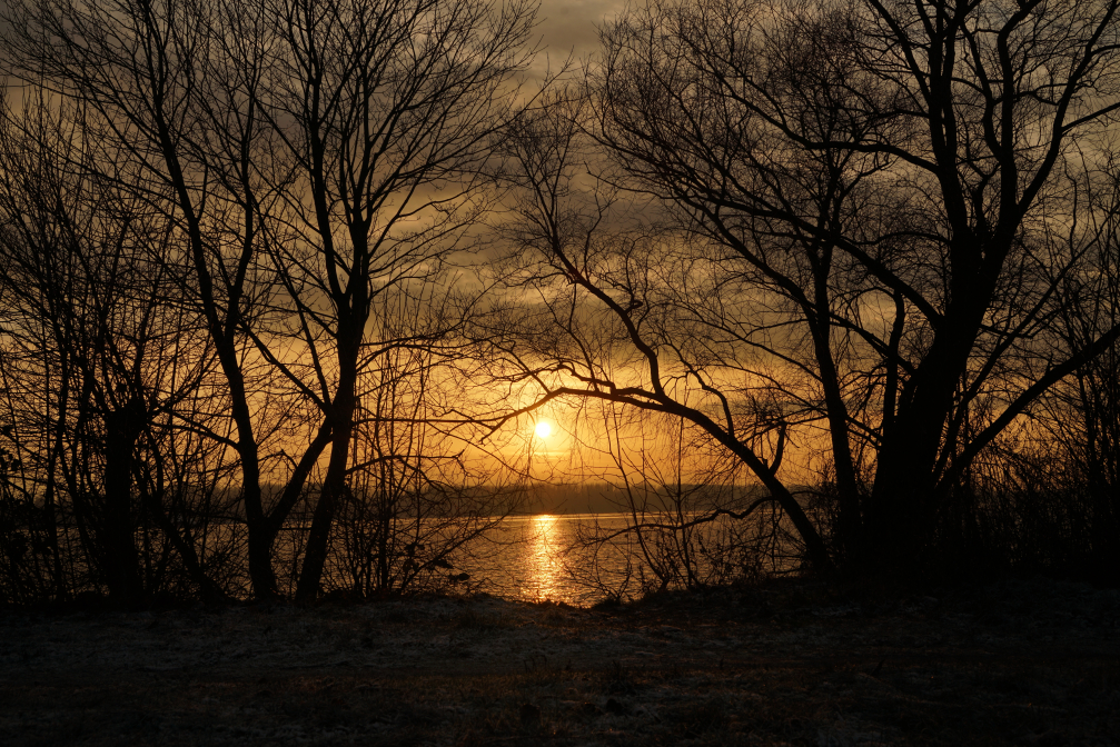 Sonnenuntergangsstimmung in Hamburg