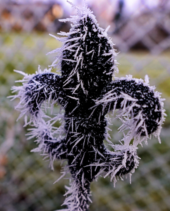 Frost trifft auf Eisen