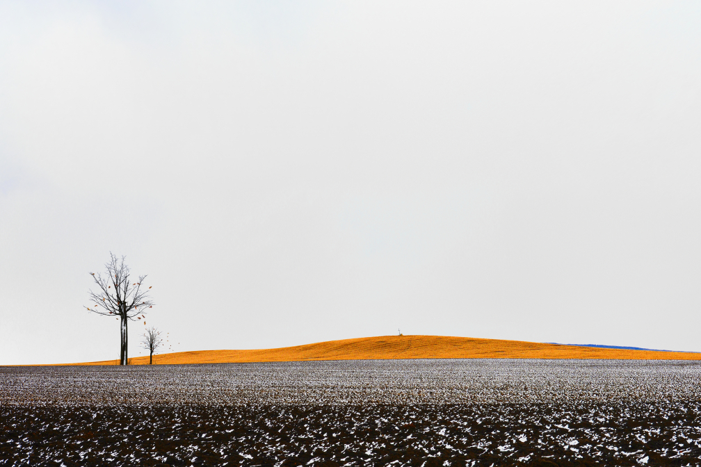 Krajina v zajetí zimy.