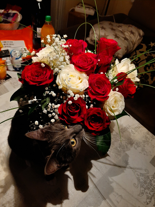 Ernie und die Blumen